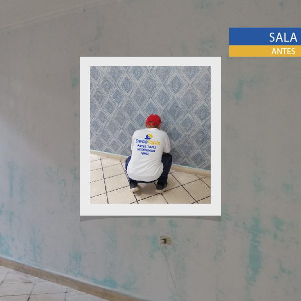 ProyectoRealizado1